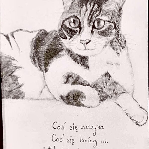 „Stęskniony kot”; tech.: ołówek